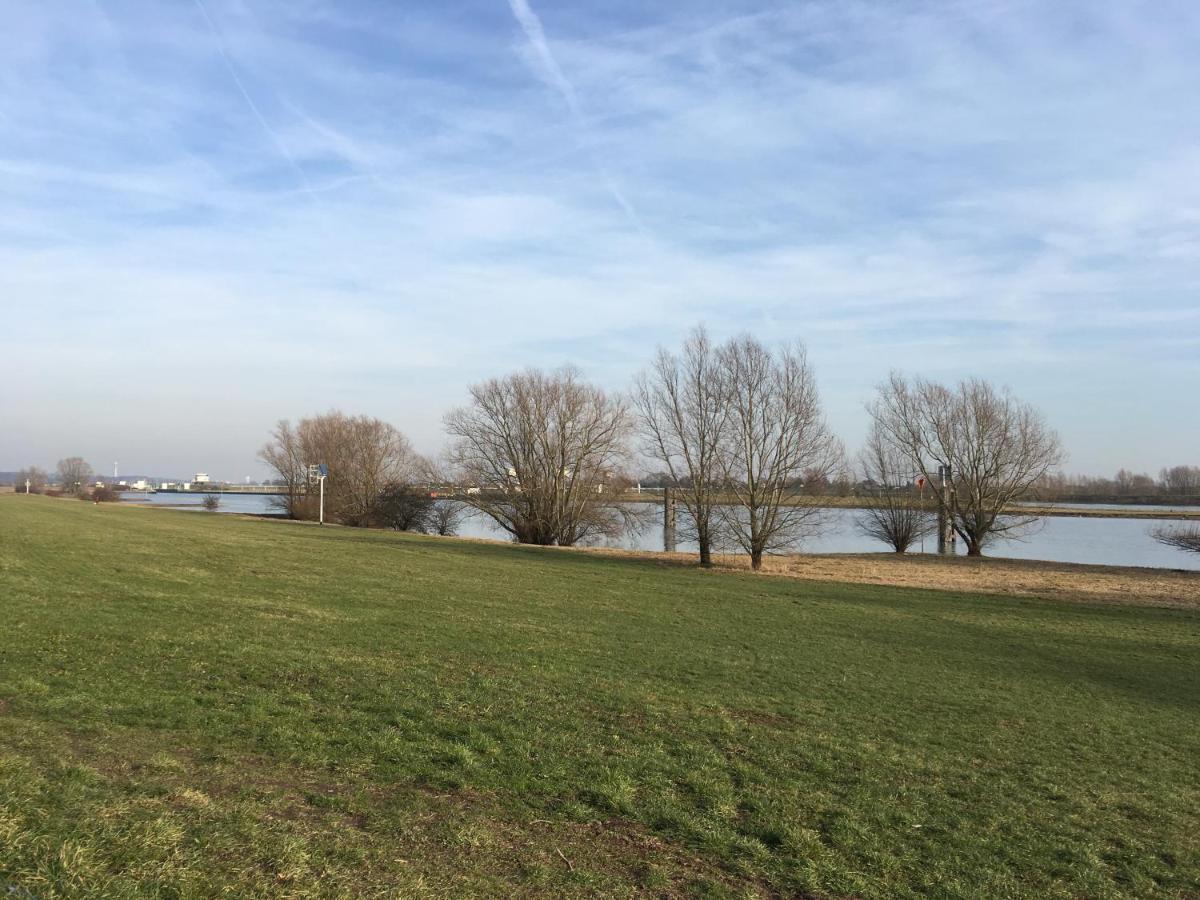 Bed & Breakfast De Ijsvogel Doorwerth Bagian luar foto