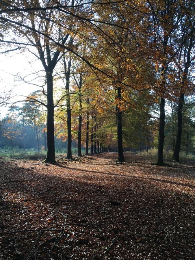 Bed & Breakfast De Ijsvogel Doorwerth Bagian luar foto