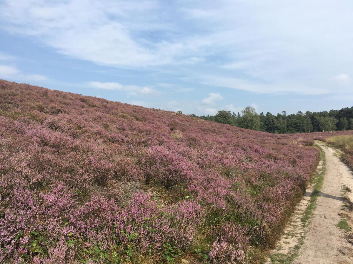 Bed & Breakfast De Ijsvogel Doorwerth Bagian luar foto